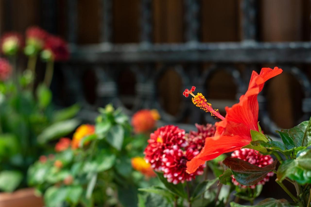 Flores Hotel Alaçatı Exterior foto